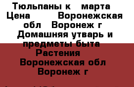 Тюльпаны к 8 марта › Цена ­ 30 - Воронежская обл., Воронеж г. Домашняя утварь и предметы быта » Растения   . Воронежская обл.,Воронеж г.